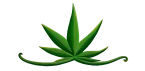 Hemp and Harmony